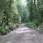 teapot hill hiking trail